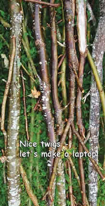 nice twigs